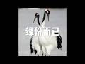 201801 缘份而已23118