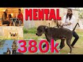 MENTAL BULLY DOG BULLY KUTTA