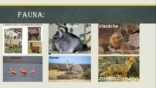 Las Ocho Regiones Naturales del Perú III