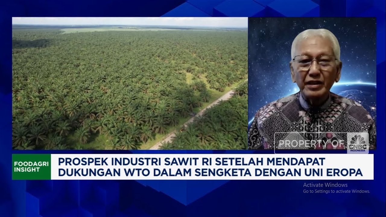 Pengusaha Sawit Minta Industri CPO Tak Dihambat Aturan Tumpang Tindih