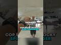 Cop SNAPS on cocky spirit passenger 😳