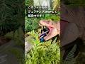 #shorts ジュラシックワールドの世界はこうやって作る！