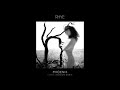 Phoenix (Little Dragon Remix – Official Audio)