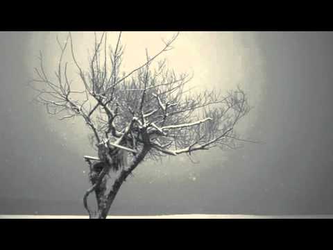 The Trees Sleep In Winter 5. relaxing piano music