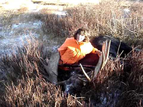 52" Moose Shoot At Lake Creek, In the Snowy Range By Laramie, Wyoming. 2000 views 12/14/09, 3500 views 10/3/10, 4000 views 12/20/10, 5000 views 5/24/11