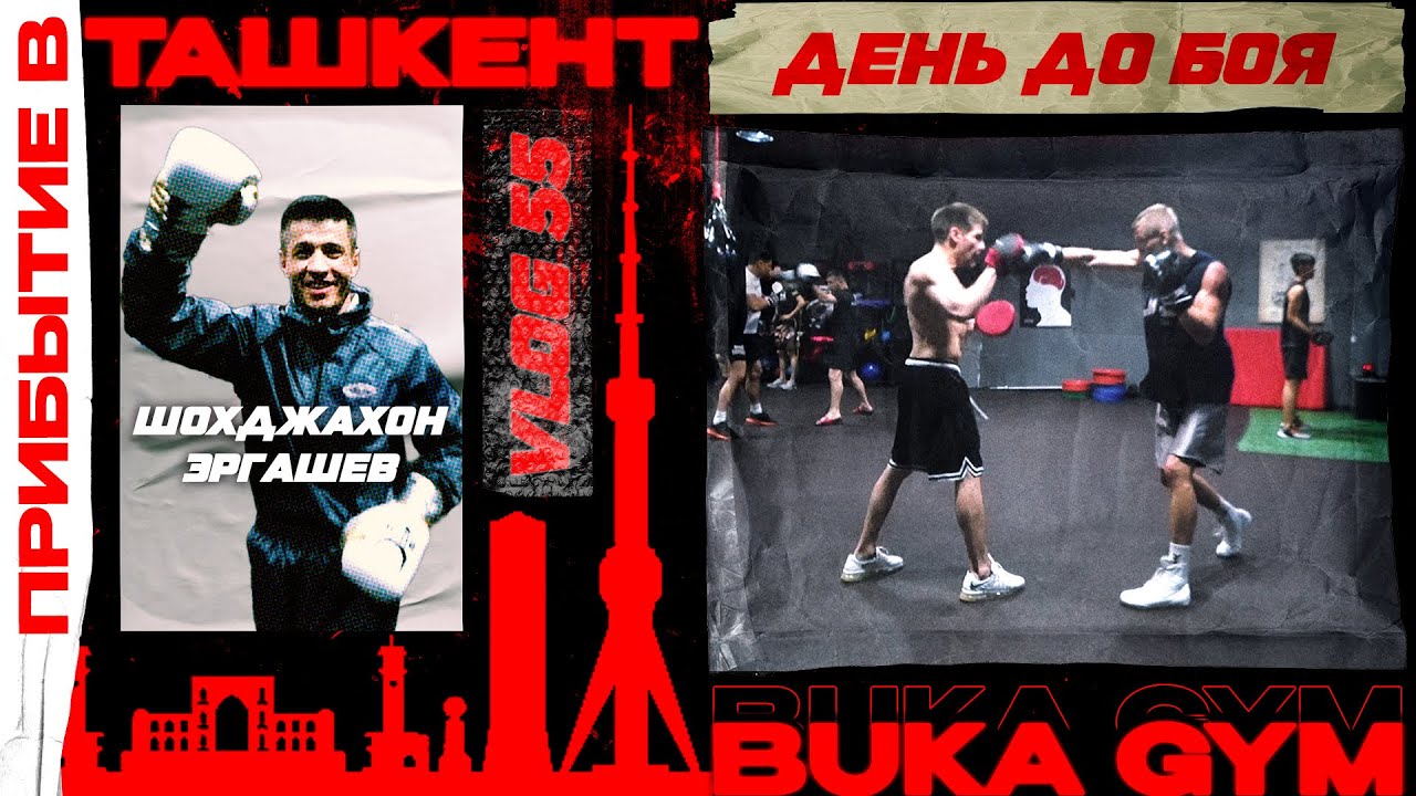 Сергей богдан бокс