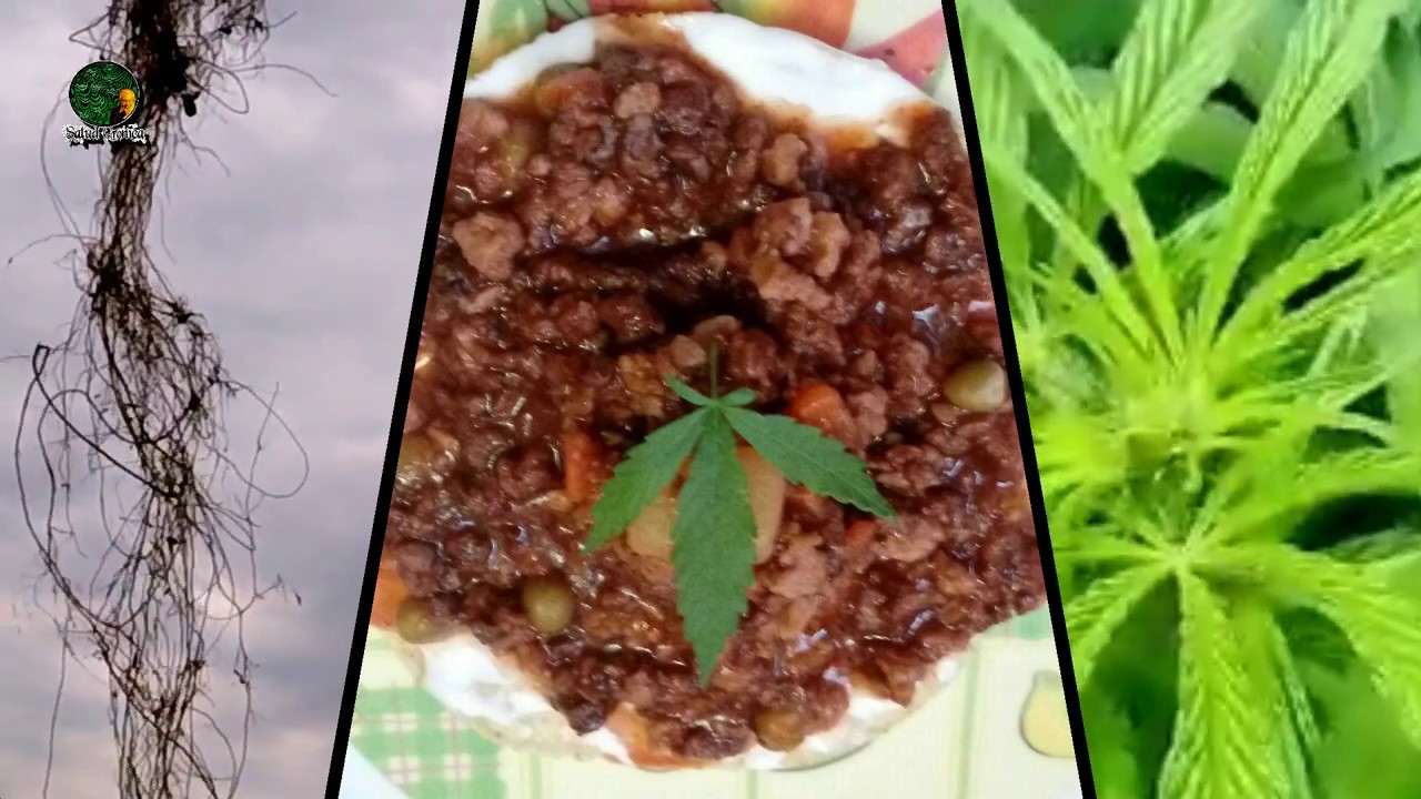 Salud Crónica presente en Expo Weed 2017