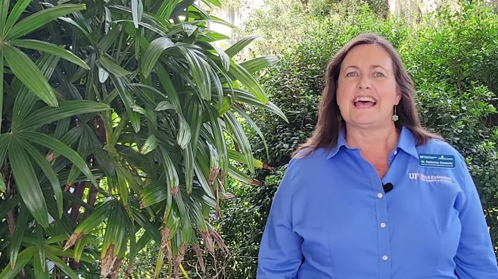 Meet Our Team: Katherine Clements, ecology and nat...