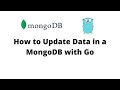 How to Update Data in MongoDB with Go