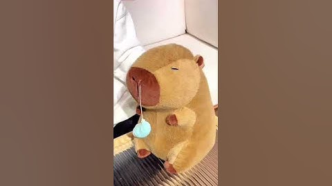 Capibara con la nariz mocosa #iboop #iBOOP #capybara #peluches #plush #regalo #gift #capibara #dolls