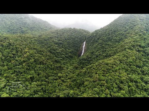 Vídeo: Descrição e foto da reserva natural 