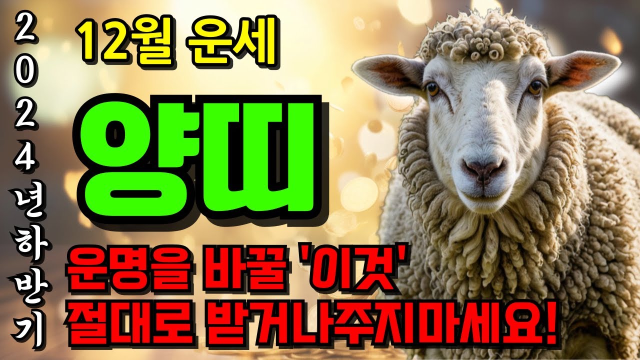 양띠 주목! 2024년 12월 양띠 운명이 바뀝니다ㅣ힘들었던 상반기를 한번에 보상받을 재물이 들어옵니다 55년생 67년생 79 ...