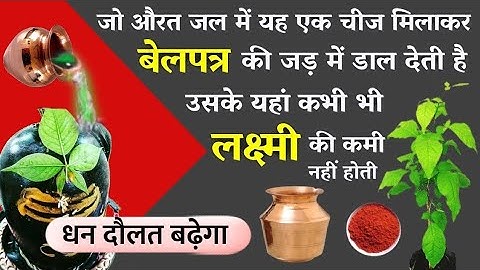 जल में यह एक चीज़ मिलाकर बेलपत्र की जड़ में डाल देने से हमेशा बढ़ती हैं लक्ष्मी