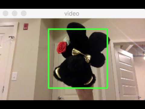 Bear Object Detector - HoG Video Results