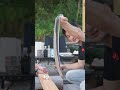 【一色のうなぎがうますぎる!】 part2 #shorts