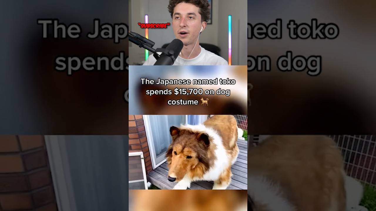 humans into animals 🤯😱