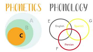 What is phonetics?