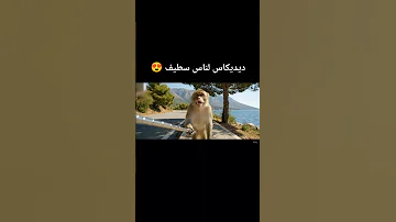 ديديكاس لناس سطيف ههه Funny سطيف Baby مراوغات اكسبلور اهميه Cutebaby الجيلي Cute النظافه 
