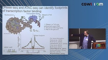 Roger Piqué-Regí: "Tools for identifying gene regulatory variants and GxE interactions for..."