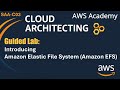 AWS EFS Guided Lab for Cloud Architects ๐๏ธ