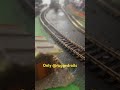 Train set in action