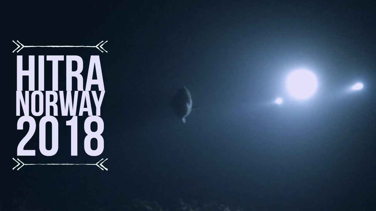 Gopro | Diving Hitra Norway 2018
