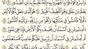 سورة الملك (١٣-١٨) للشيخ المقرئ عبدالقادر العثمان ..