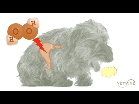 Hydrogen Peroxide For The Induction Of Vomiting A Preview Of This Week S Specialty Update