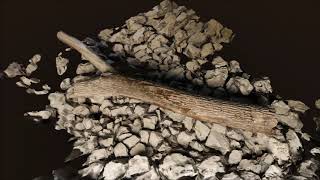 Log Amidst Rocks (Photogrammetry)