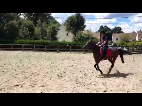 Petit cours de saut d'un débutant