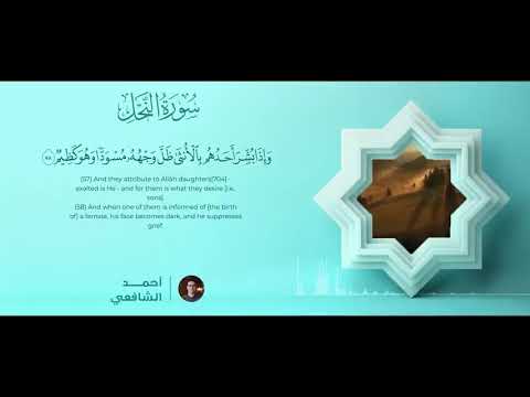 سورة النحل القارئ احمد الشافعي  