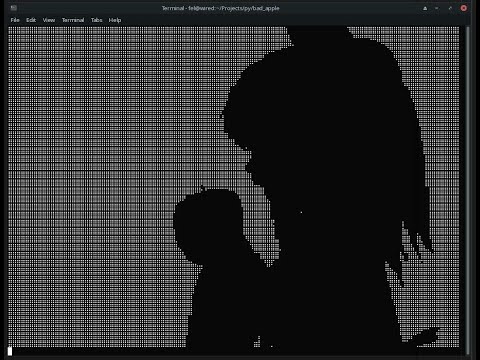 Bad Apple!! but it's being played using Unicode braille as Linux terminal output with Python.