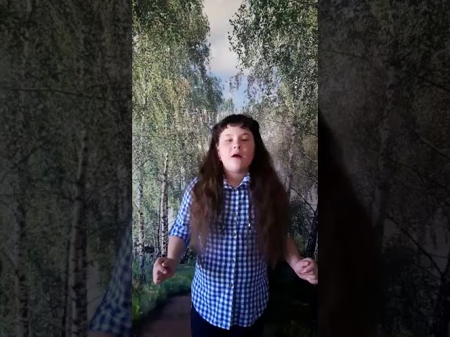 №528 Попова Ксения. Стихотворение