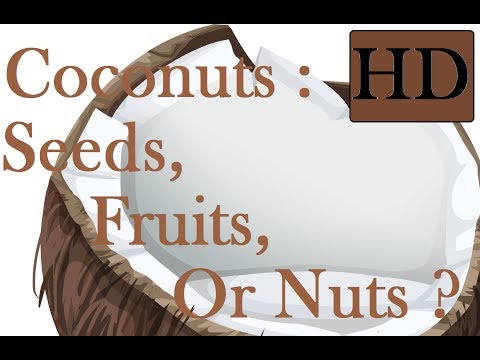 What Are Coconuts, Seeds Fruits Or Nuts ?