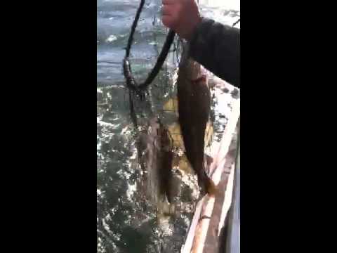 Cod fishing Marilyn Jean IV sheepshead bay