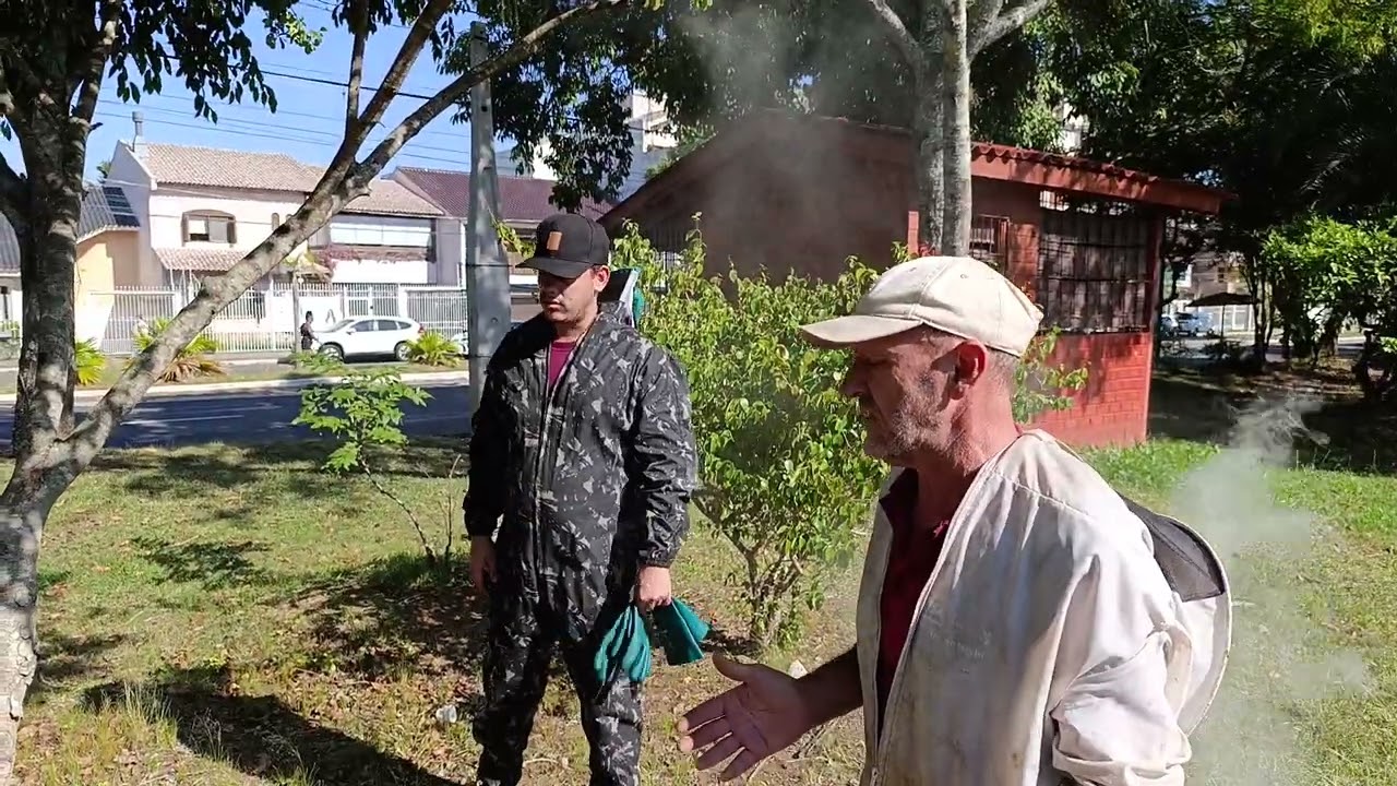 Salvando abelhas whatsapp 51 9903-2708