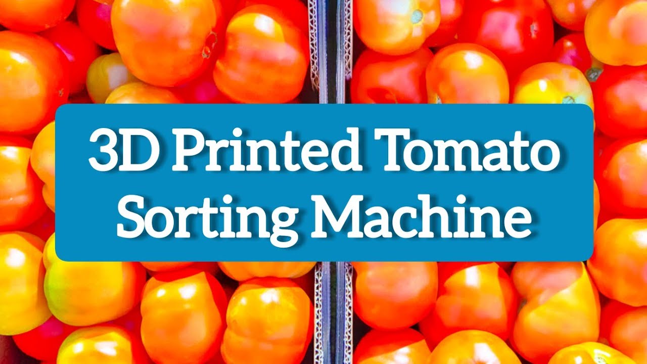3D Printed Tomato Sorting Machine | World of Engineering