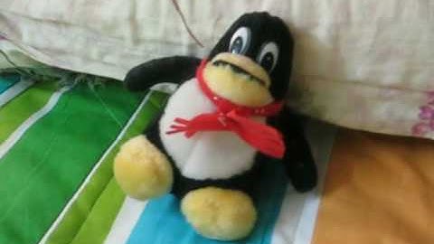 The Linux Foundation Video Site:: Who is Linux