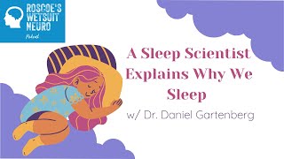 A Sleep Scientist Explains Why We Sleep w\/ Dr. Daniel Gartenberg