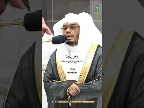 واذكر عبدنا أيوب إذ نادى ربه اني مسني الشيطان صلاة الفجر 5 ذوالقعدة 1445هـ الشيخ أ د ياسر الدوسري 