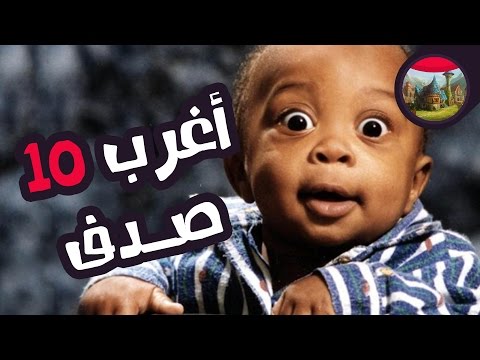 فيديو: جوليان في صدف كبير