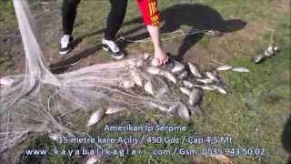 Serpme Ağ Ile Balık Avı Sazan Balığı Avı Fishing Super Technique