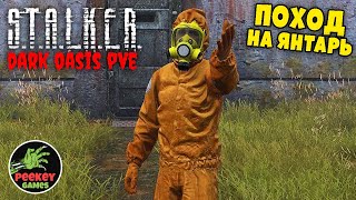 🛑 DayZ Stalker "День 10й - Бар и Янтарь" (Server - DarkOasis Hardcore Stalker PVE)