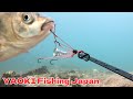 【水中映像】吸い込み仕掛けにかかる魚の様子を完全収録