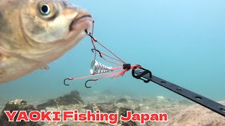 【水中映像】吸い込み仕掛けにかかる魚の様子を完全収録