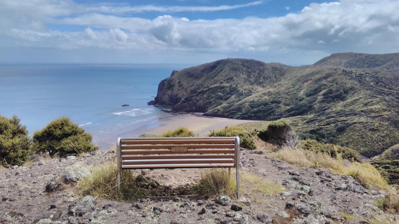 Walk: Lookout, Anawhata (Waitakere Ranges). - YouTube