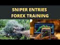 ENTRIES  Forex Training  11/11/2020 - YouTube