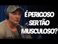 É PERIGOSO SER TÃO MUSCULOSO Cortes Do Flow Em 3 Minutos 