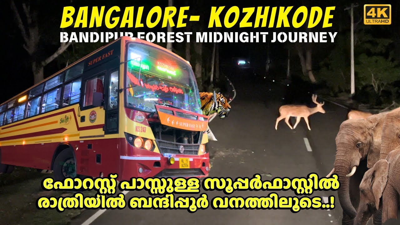 Most thrilling midnight journey through Bandipur Forest in a KSRTC SWIFT SUPER FAST | 4K