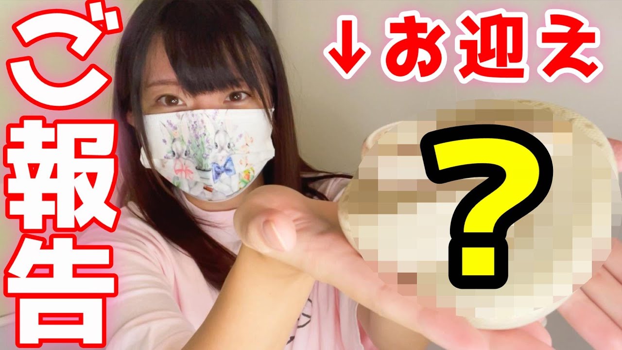 ボールパイソン 初めてお迎えしました！初心者の飼育環境セッティング＆ナゴレプ購入品紹介